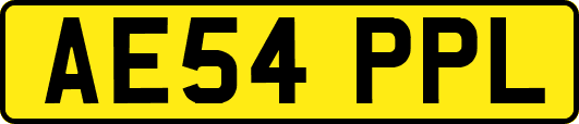 AE54PPL