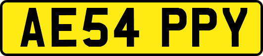 AE54PPY