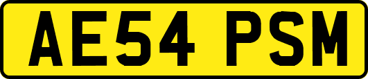 AE54PSM