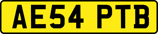 AE54PTB