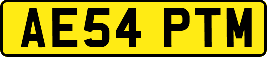 AE54PTM