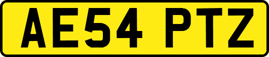 AE54PTZ