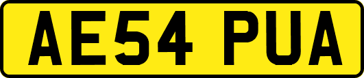 AE54PUA