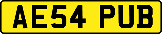 AE54PUB