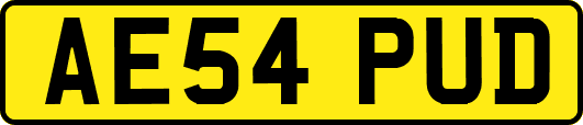 AE54PUD