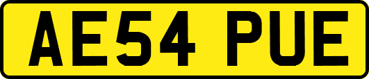 AE54PUE