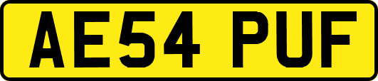 AE54PUF