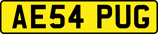AE54PUG