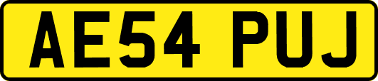 AE54PUJ