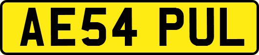 AE54PUL
