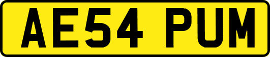 AE54PUM