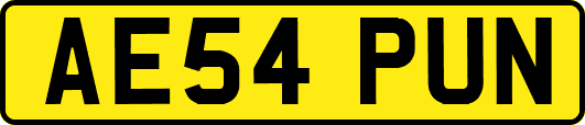 AE54PUN
