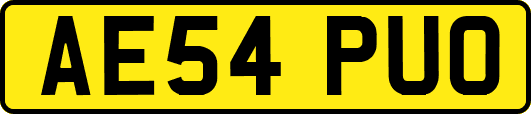 AE54PUO