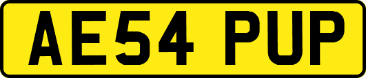AE54PUP