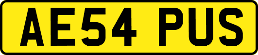 AE54PUS