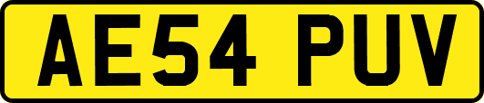 AE54PUV