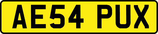AE54PUX