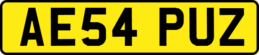 AE54PUZ