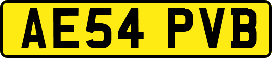 AE54PVB