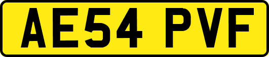 AE54PVF