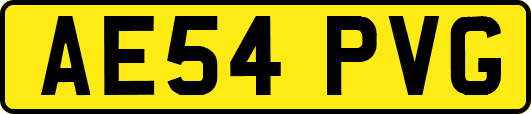 AE54PVG