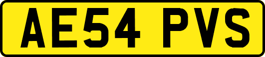 AE54PVS