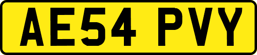 AE54PVY