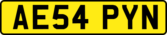 AE54PYN