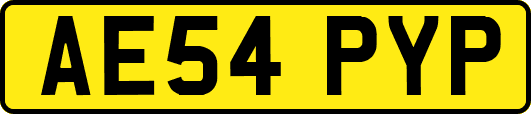 AE54PYP