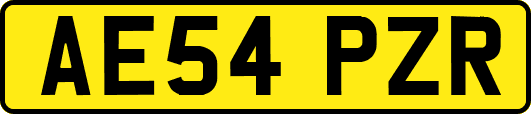 AE54PZR