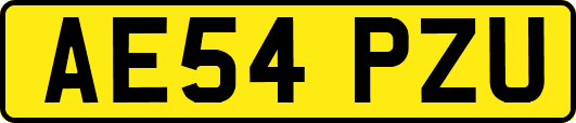 AE54PZU