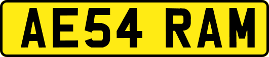 AE54RAM