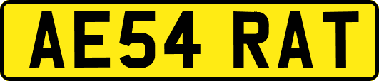 AE54RAT