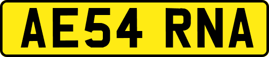AE54RNA
