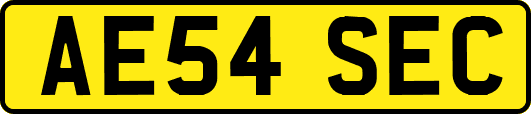 AE54SEC