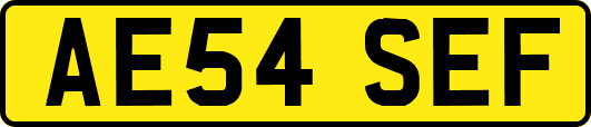 AE54SEF