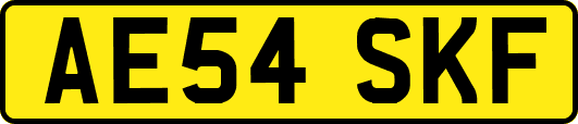 AE54SKF