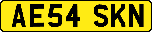 AE54SKN