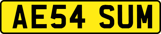 AE54SUM