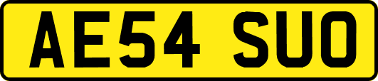 AE54SUO