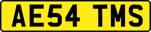 AE54TMS