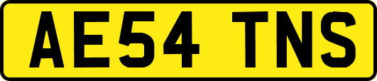 AE54TNS