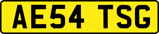 AE54TSG