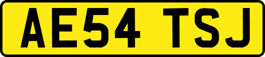 AE54TSJ