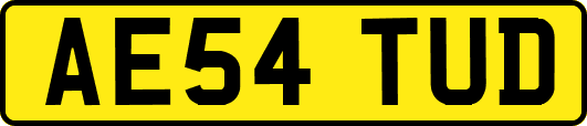 AE54TUD