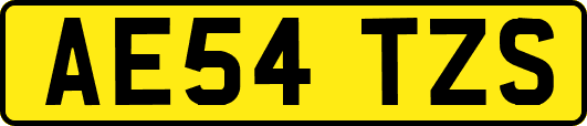 AE54TZS