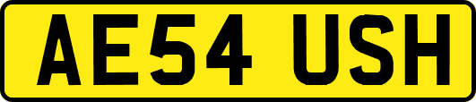 AE54USH