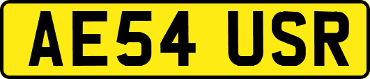 AE54USR