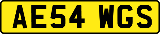 AE54WGS
