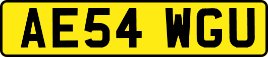 AE54WGU